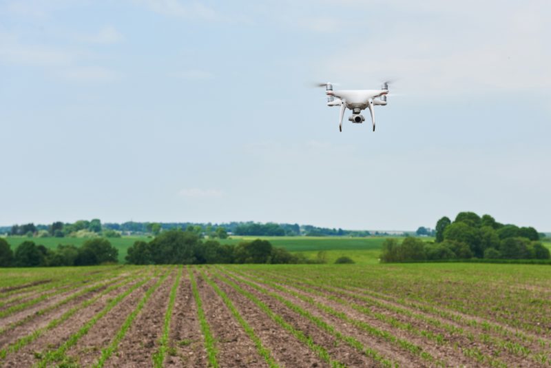 Dronas purškiantis pasėlius moderniame ūkyje siekiant efektyvumo ir tikslumo